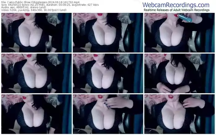 cams-bigglasses-06-18-2024-16-17-32