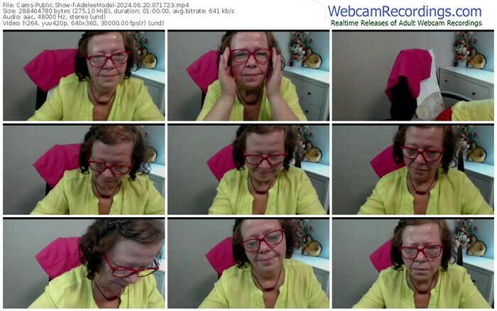 cams-adeleemodel-06-20-2024-07-17-23