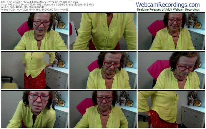 cams-adeleemodel-06-20-2024-08-17-23