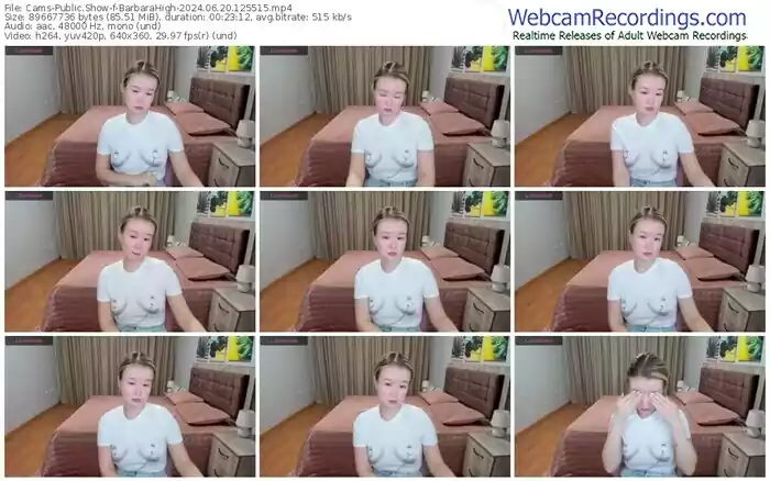 cams-barbarahigh-06-20-2024-12-55-15