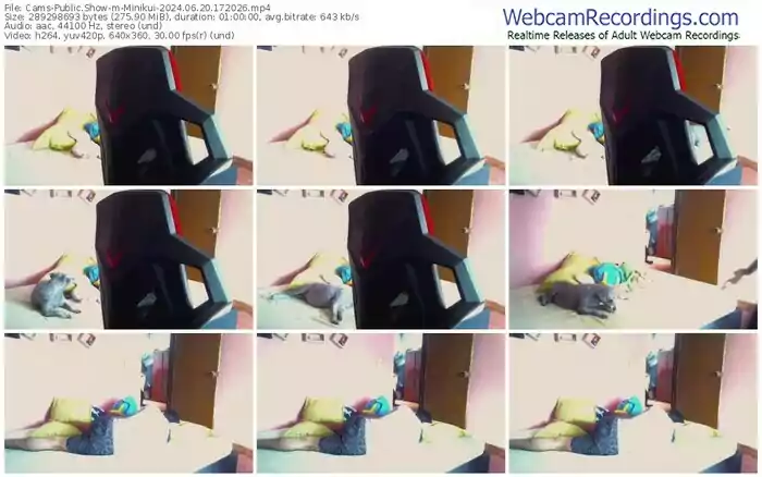 cams-minikui-06-20-2024-17-20-26