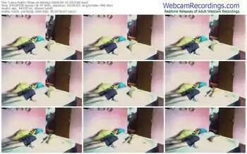 cams-minikui-06-20-2024-19-26-34