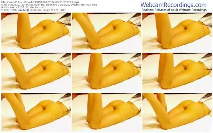 cams-carina008-06-23-2024-20-37-23