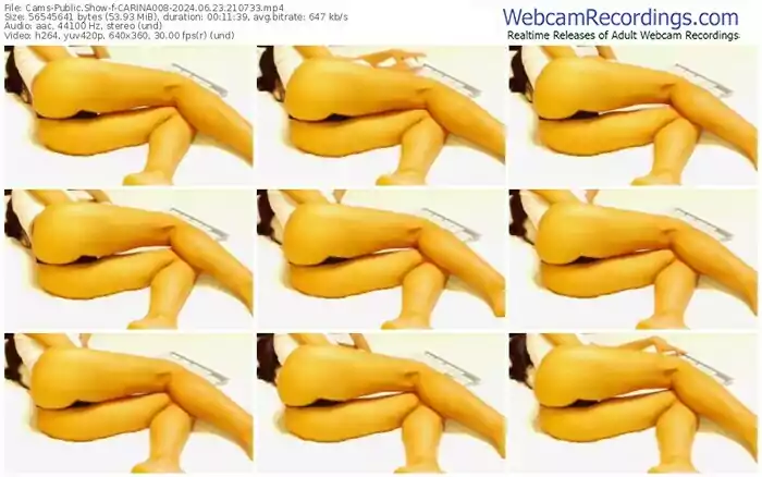 cams-carina008-06-23-2024-21-07-33