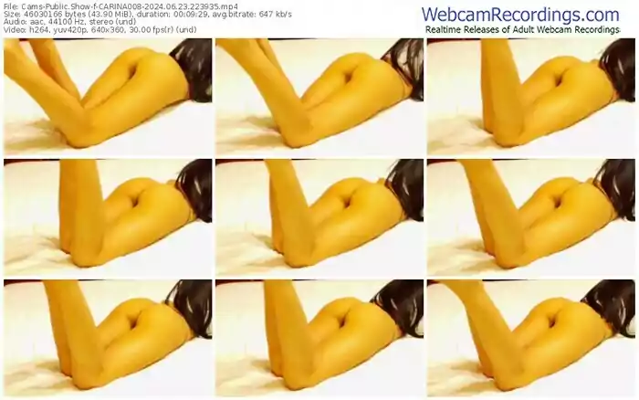 cams-carina008-06-23-2024-22-39-35