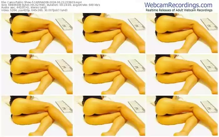 cams-carina008-06-23-2024-23-36-03