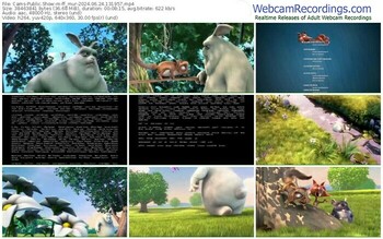 cams-ff_mur-06-24-2024-13-19-57