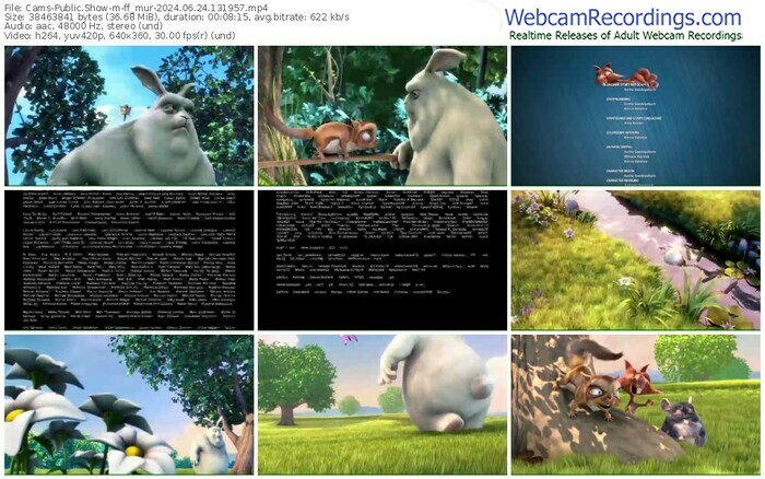 cams-ff_mur-06-24-2024-13-19-57