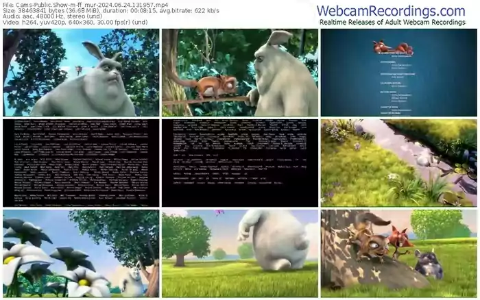 cams-ff_mur-06-24-2024-13-19-57