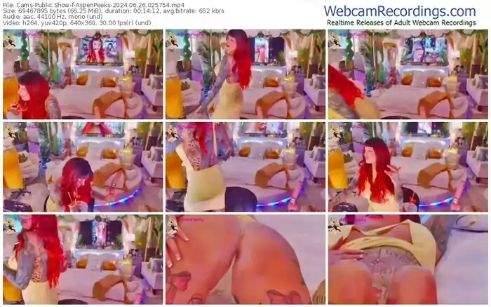 cams-aspenpeeks-06-26-2024-02-57-54