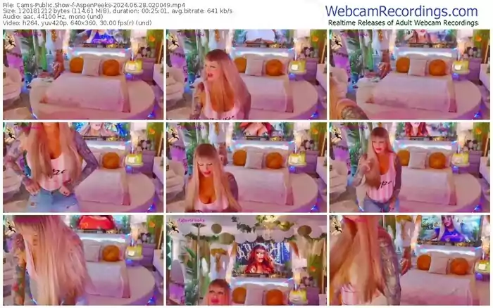 cams-aspenpeeks-06-28-2024-02-00-49