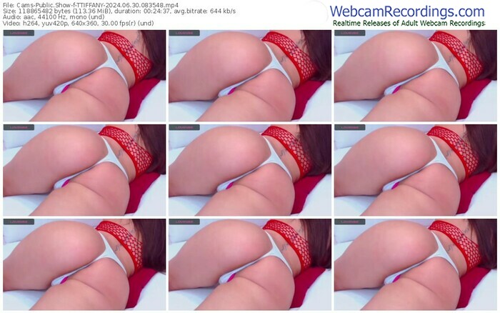 cams-ttiffany-06-30-2024-08-35-48