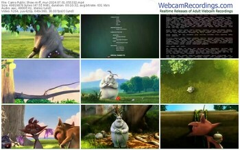 cams-ff_mur-07-01-2024-05-53-32