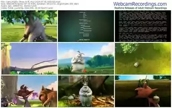 cams-ff_mur-07-01-2024-05-53-32