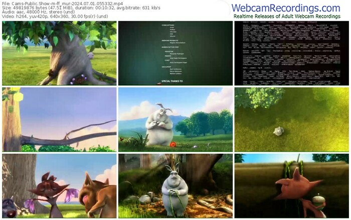 cams-ff_mur-07-01-2024-05-53-32