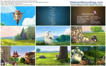 cams-ff_mur-07-01-2024-09-13-19