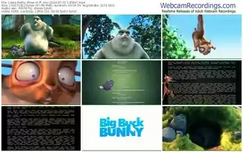 cams-ff_mur-07-02-2024-13-58-47