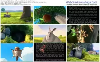 cams-ff_mur-07-06-2024-01-00-14