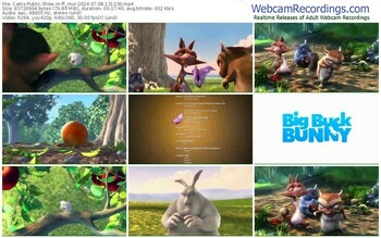 cams-ff_mur-07-08-2024-13-12-36