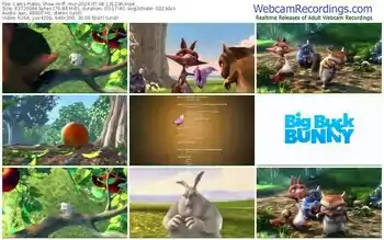 cams-ff_mur-07-08-2024-13-12-36