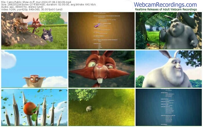 cams-ff_mur-07-08-2024-13-41-09