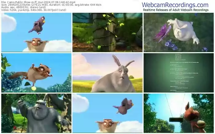 cams-ff_mur-07-08-2024-14-41-42