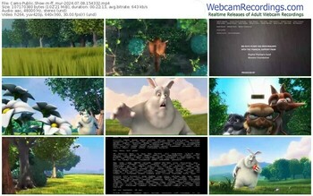 cams-ff_mur-07-08-2024-15-43-32