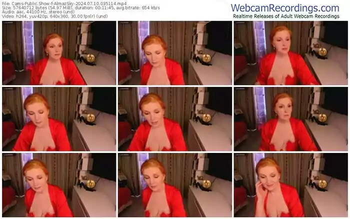 cams-almazsky-07-10-2024-03-51-14