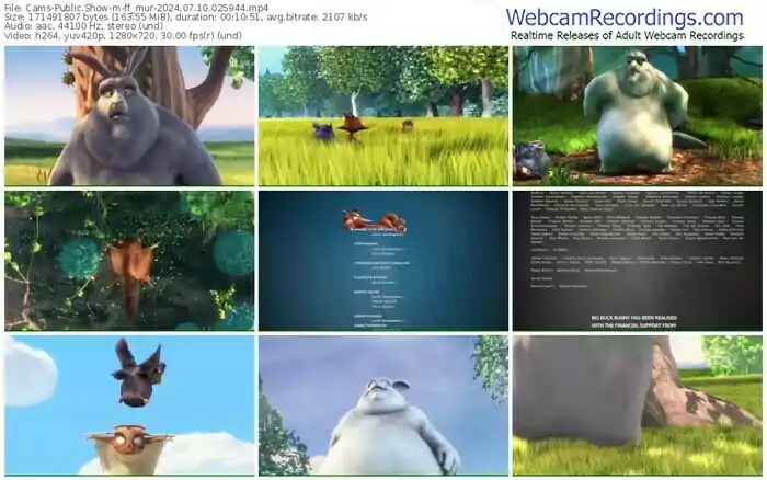 cams-ff_mur-07-10-2024-02-59-44