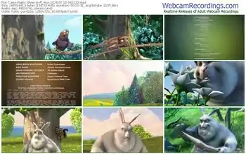 cams-ff_mur-07-10-2024-04-22-23