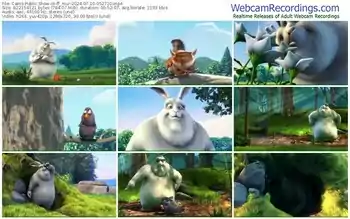 cams-ff_mur-07-10-2024-05-27-10