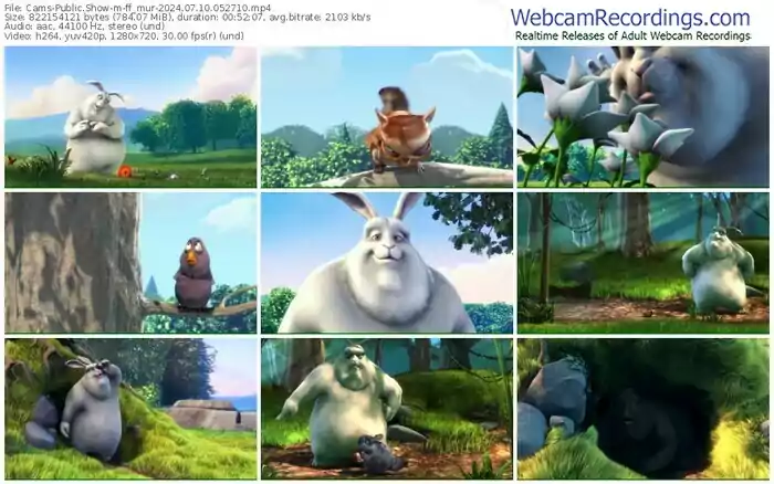 cams-ff_mur-07-10-2024-05-27-10