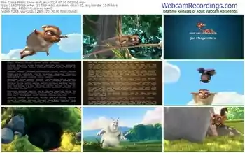 cams-ff_mur-07-10-2024-06-29-56