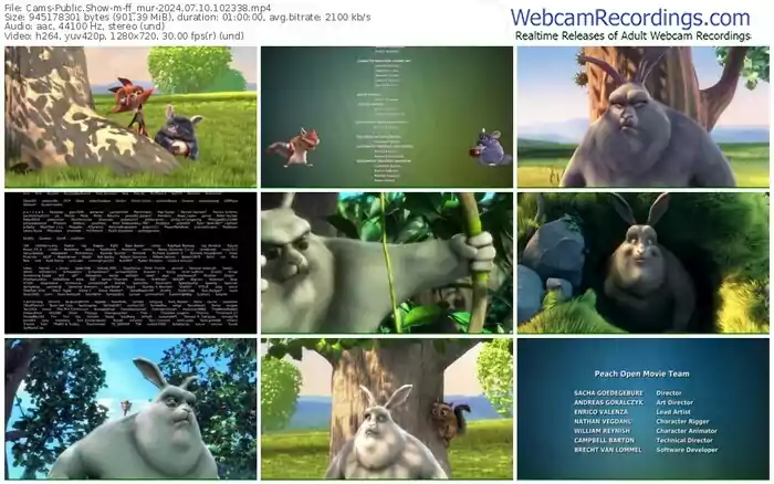 cams-ff_mur-07-10-2024-10-23-38