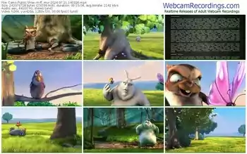 cams-ff_mur-07-11-2024-14-03-26