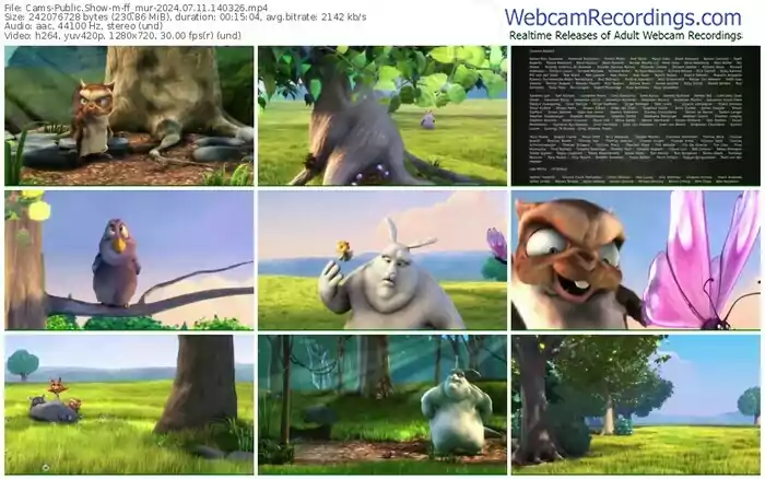 cams-ff_mur-07-11-2024-14-03-26