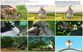 cams-ff_mur-07-11-2024-23-49-10