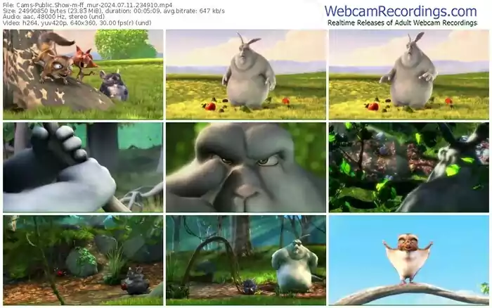 cams-ff_mur-07-11-2024-23-49-10