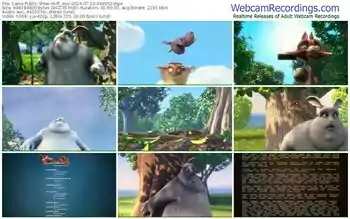 cams-ff_mur-07-12-2024-04-49-53