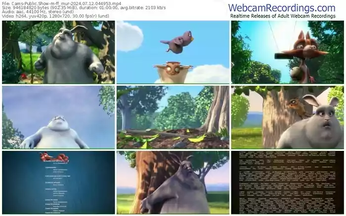 cams-ff_mur-07-12-2024-04-49-53