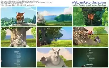 cams-ff_mur-07-12-2024-05-56-15