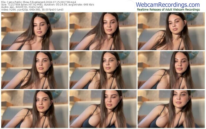 cams-evahazard-07-15-2024-09-17-38