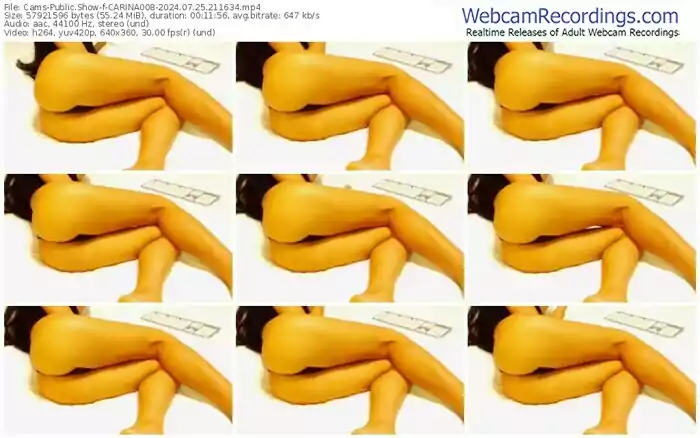 cams-carina008-07-25-2024-21-16-34