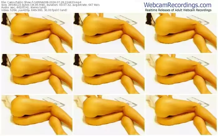 cams-carina008-07-28-2024-22-44-23