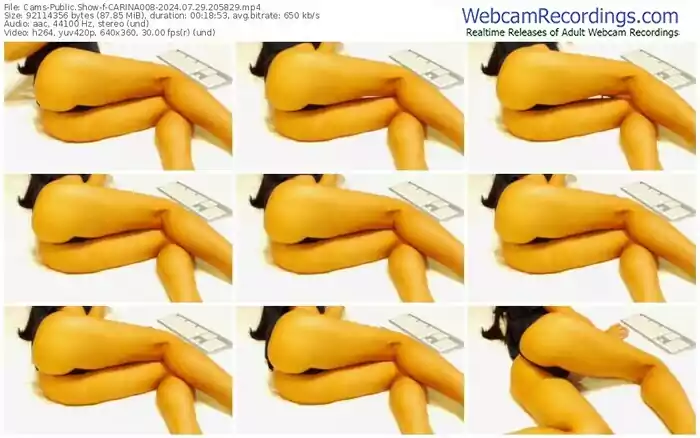 cams-carina008-07-29-2024-20-58-29