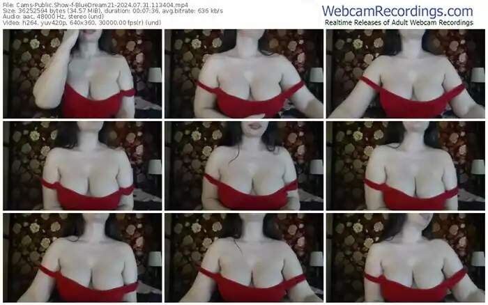 cams-bluedream21-07-31-2024-11-34-04