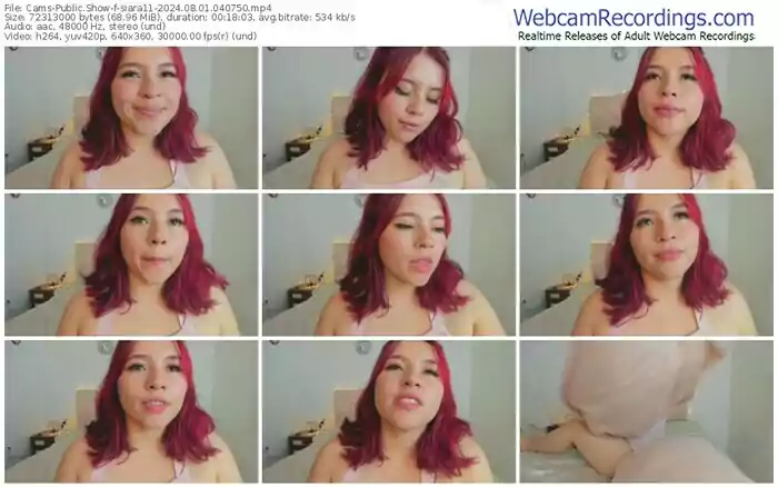 cams-siara11-08-01-2024-04-07-50