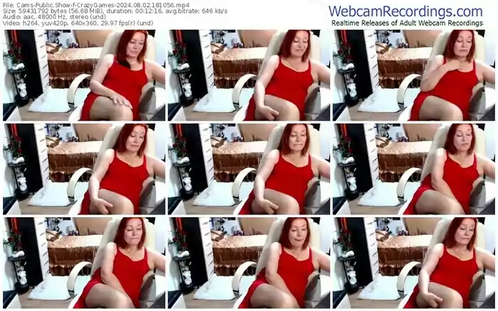 cams-crazygames-08-02-2024-18-10-56