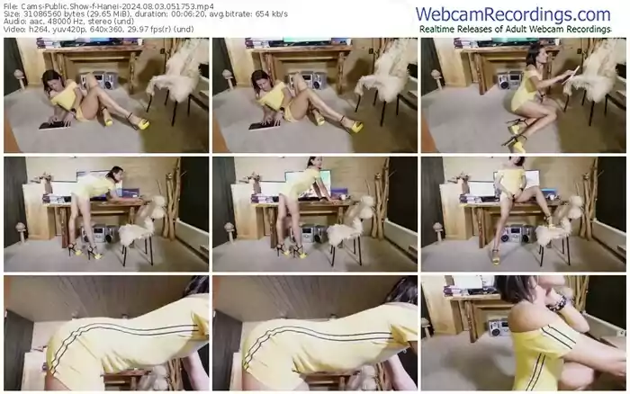 cams-hanei-08-03-2024-05-17-53