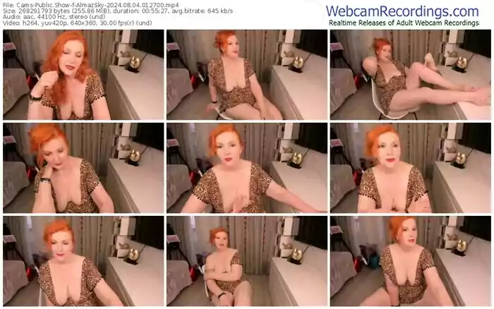 cams-almazsky-08-04-2024-01-27-00